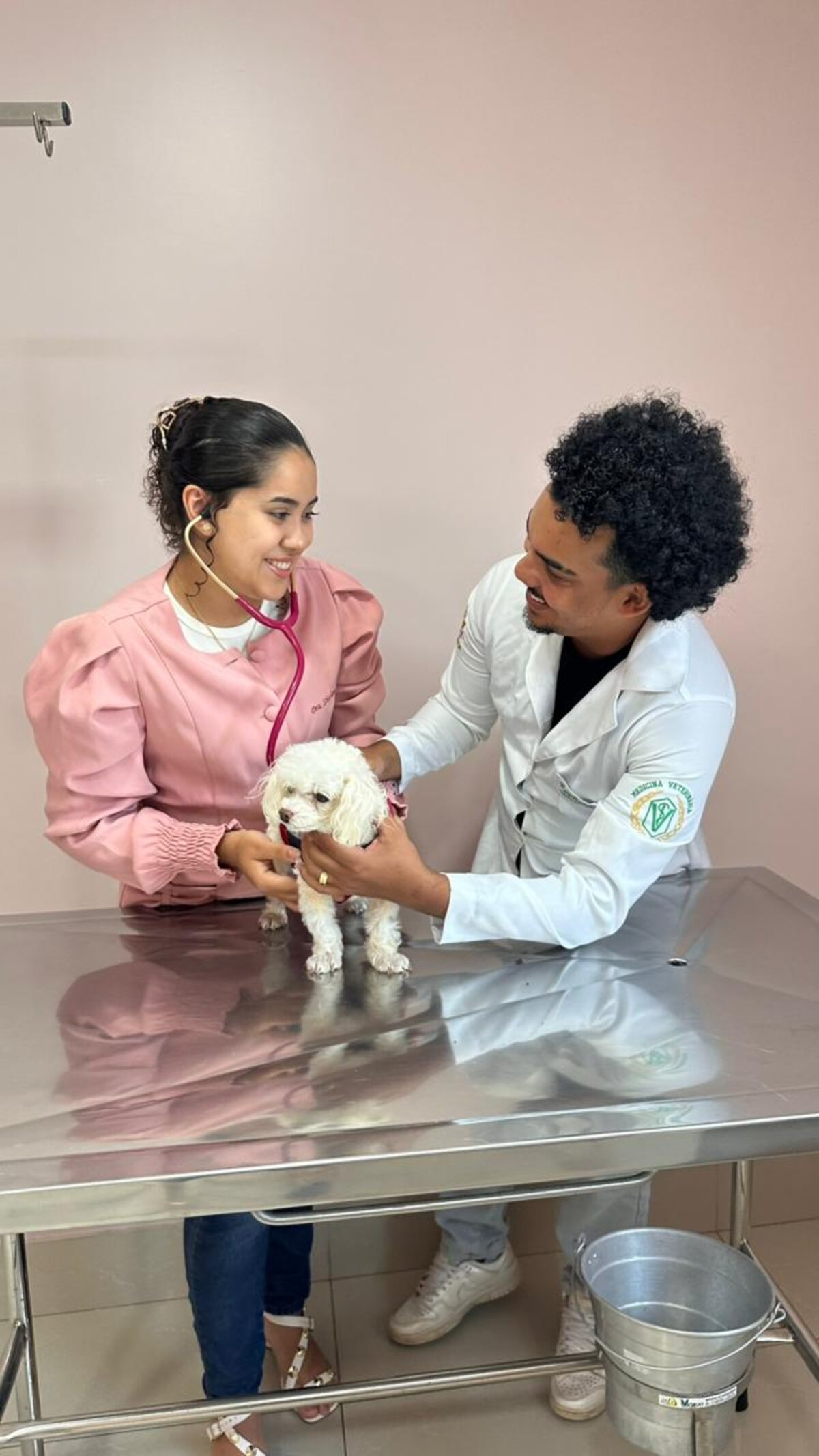 Equipe Vet Life examinando cãozinho